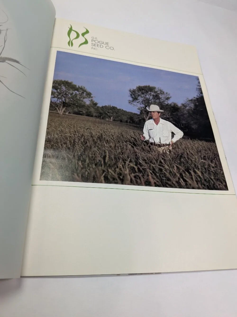 Flocked Cover Mat Vintage 1983 G.E. Pogue Seed Co Catalog Texas Grass Ephemera